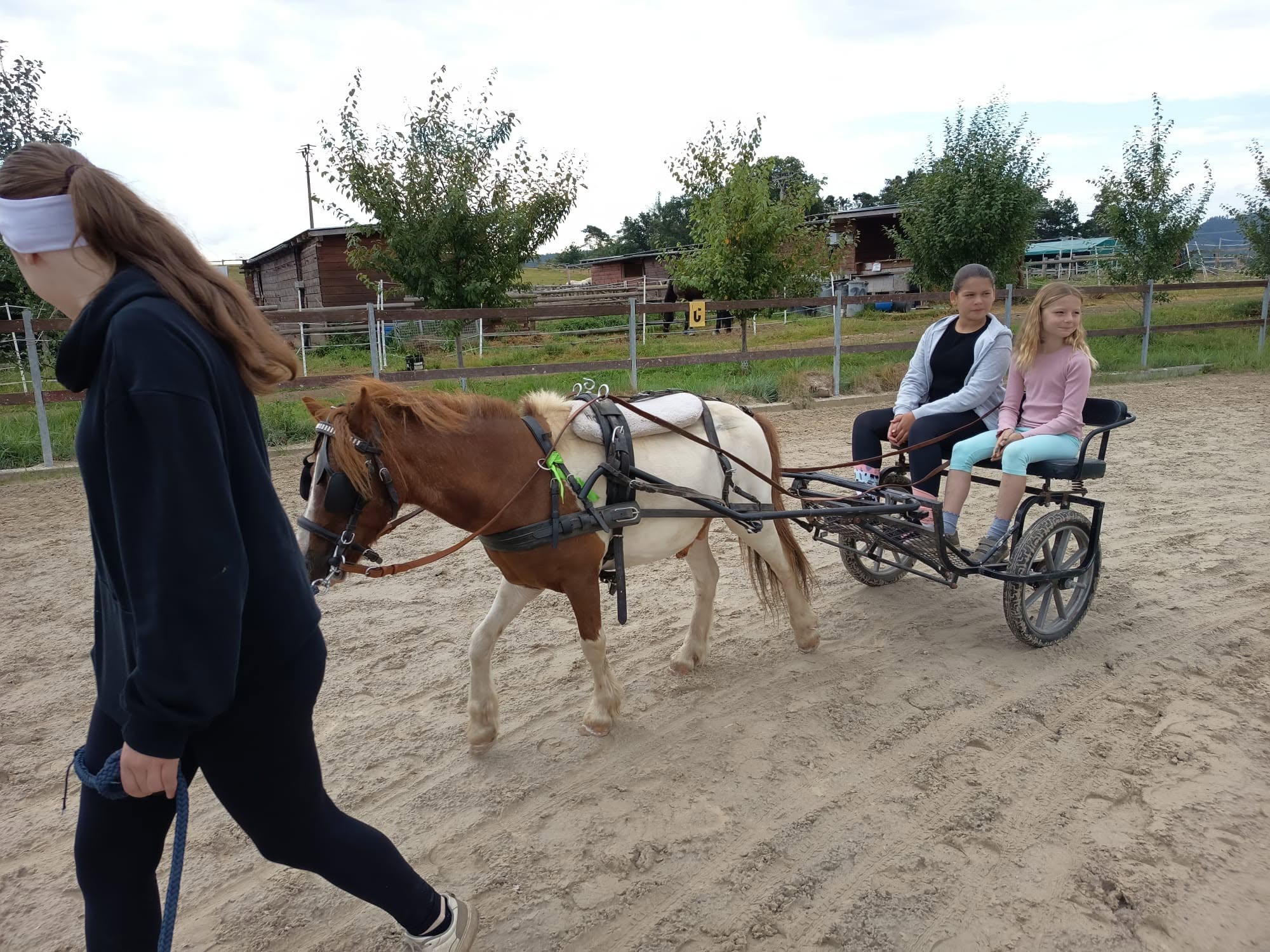 Výlety se sulkou